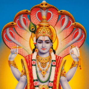 Maha Sudarshan Homam