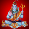 Shiva Shasranamavali Puja