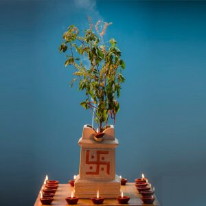 Tulsi Vivah Puja