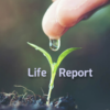 life report