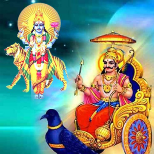 Shrapit Dosha Puja Online