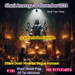 Shani Shanti Puja Online